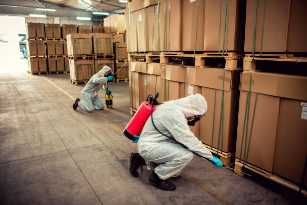 Professional Pest Control in Garfield Heights, OH