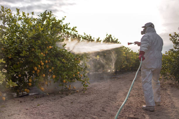 Best Local Pest Control Services  in Garfield Heights, OH