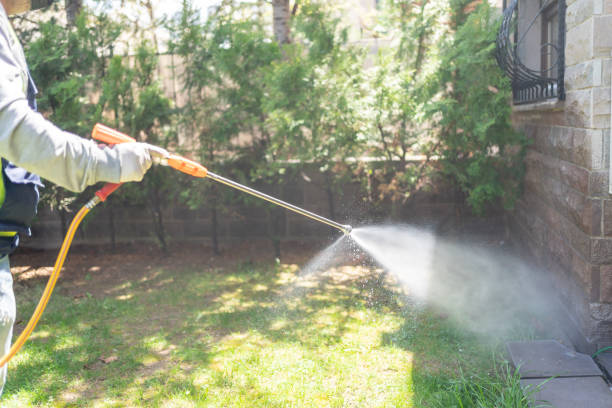 Wasp Removal Services in Garfield Heights, OH