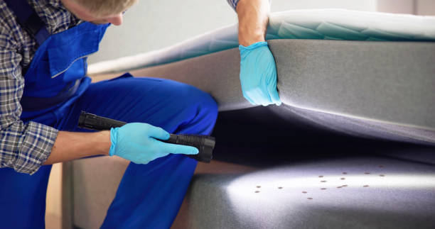 Best Affordable Pest Control Services  in Garfield Heights, OH
