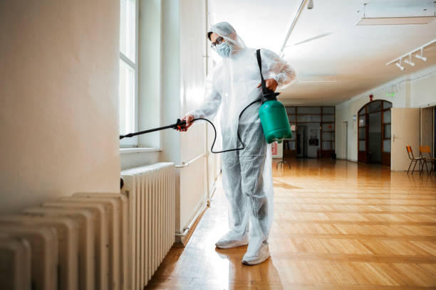 Best Termite Control Services  in Garfield Heights, OH
